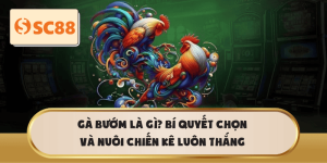 Gà Bướm Là Gì? Cách Chọn Và Nuôi Gà Đá Luôn Thắng