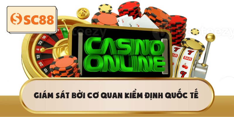 Giám sát bởi cơ quan kiểm định quốc tế