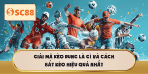 Kèo Rung Là Gì? Chiến thuật bắt kèo hiệu quả nhất